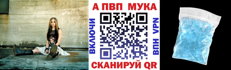 A PVP СК Новоузенск