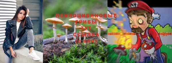 герыч Алексин