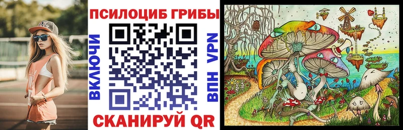 закладка  Новоузенск  Галлюциногенные грибы Psilocybine cubensis 